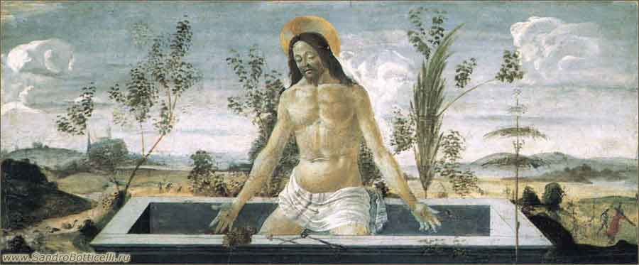   .  . .   / sandrobotticelli.ru