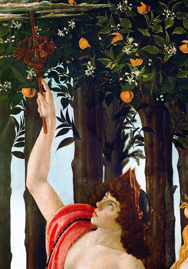 .   / sandrobotticelli.ru